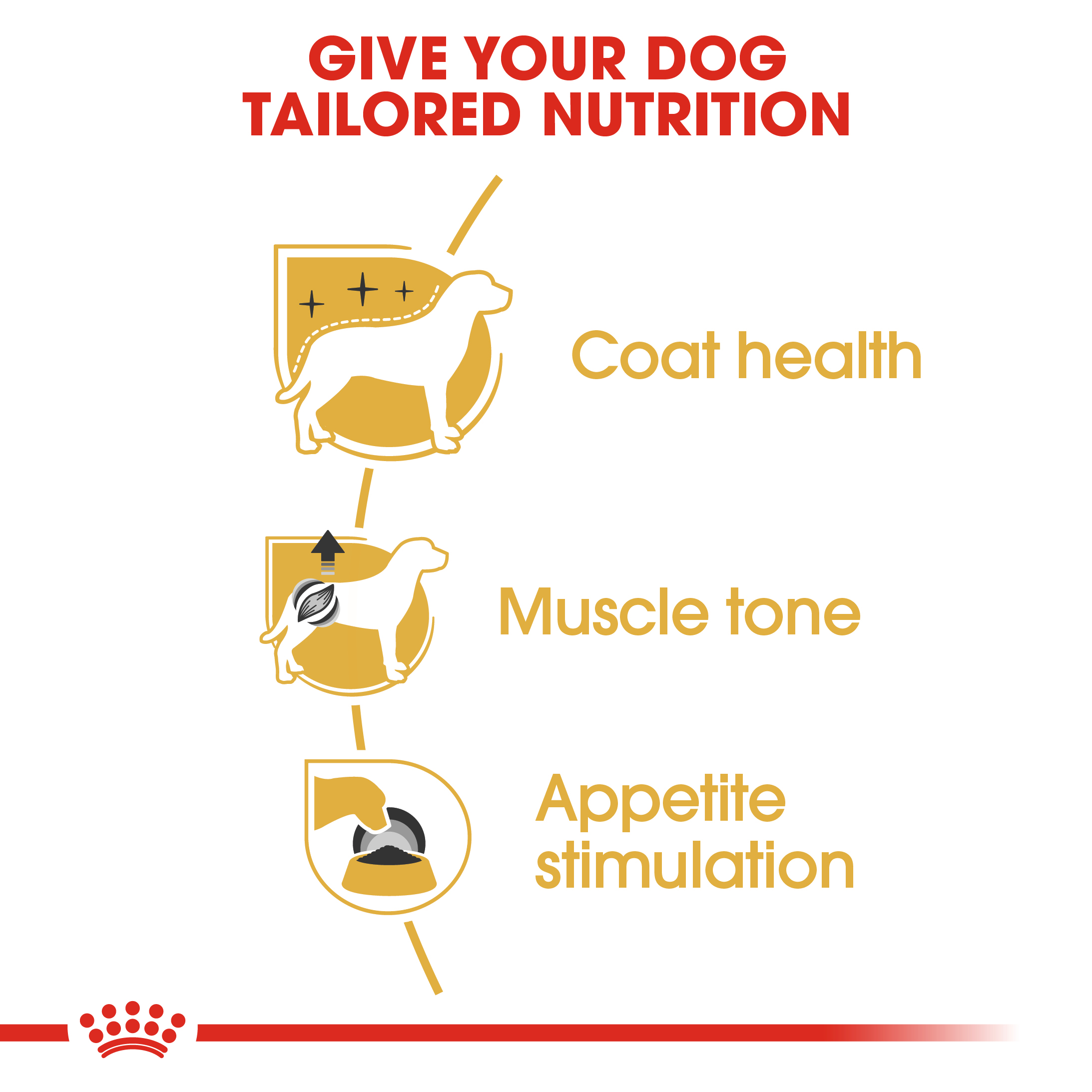 Royal Canin Poodle 12 x 85g
