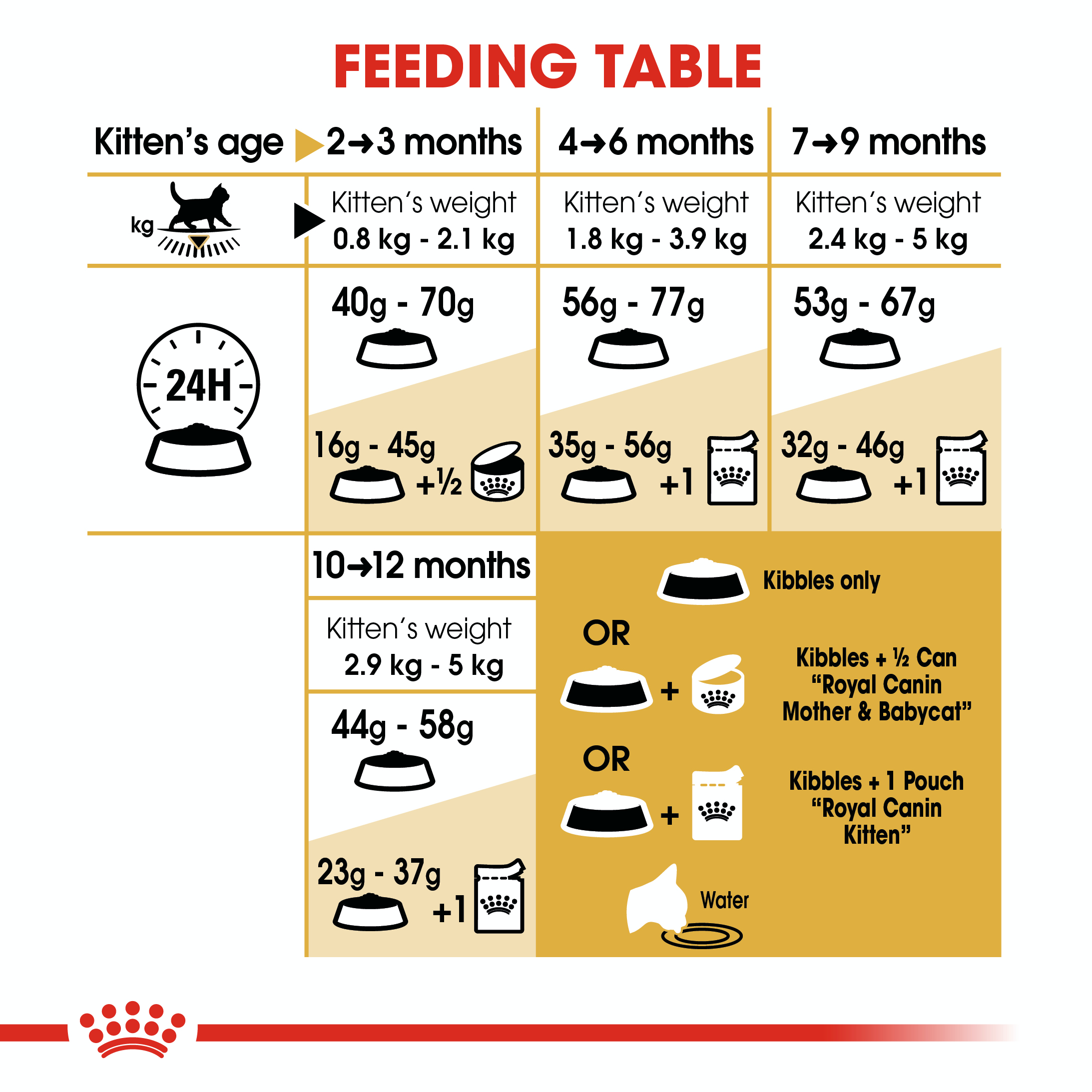 Royal Canin Kitten British Shorthair