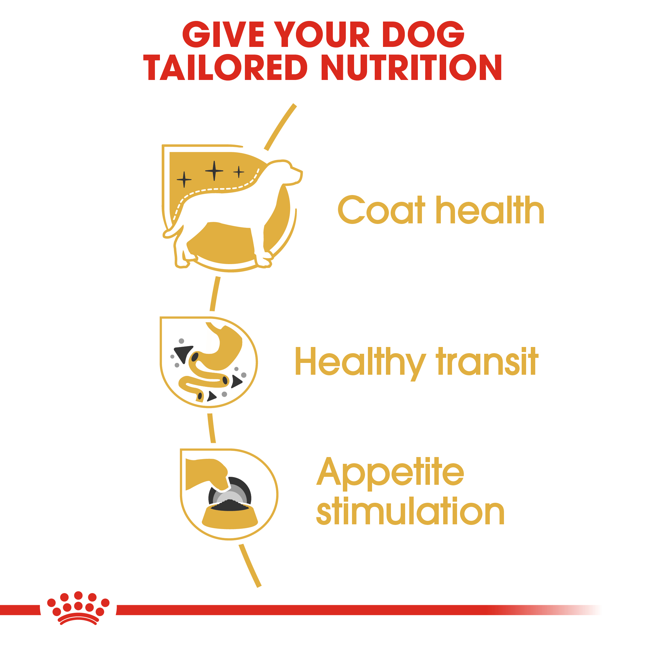 Royal Canin Chihuahua 12 x 85g