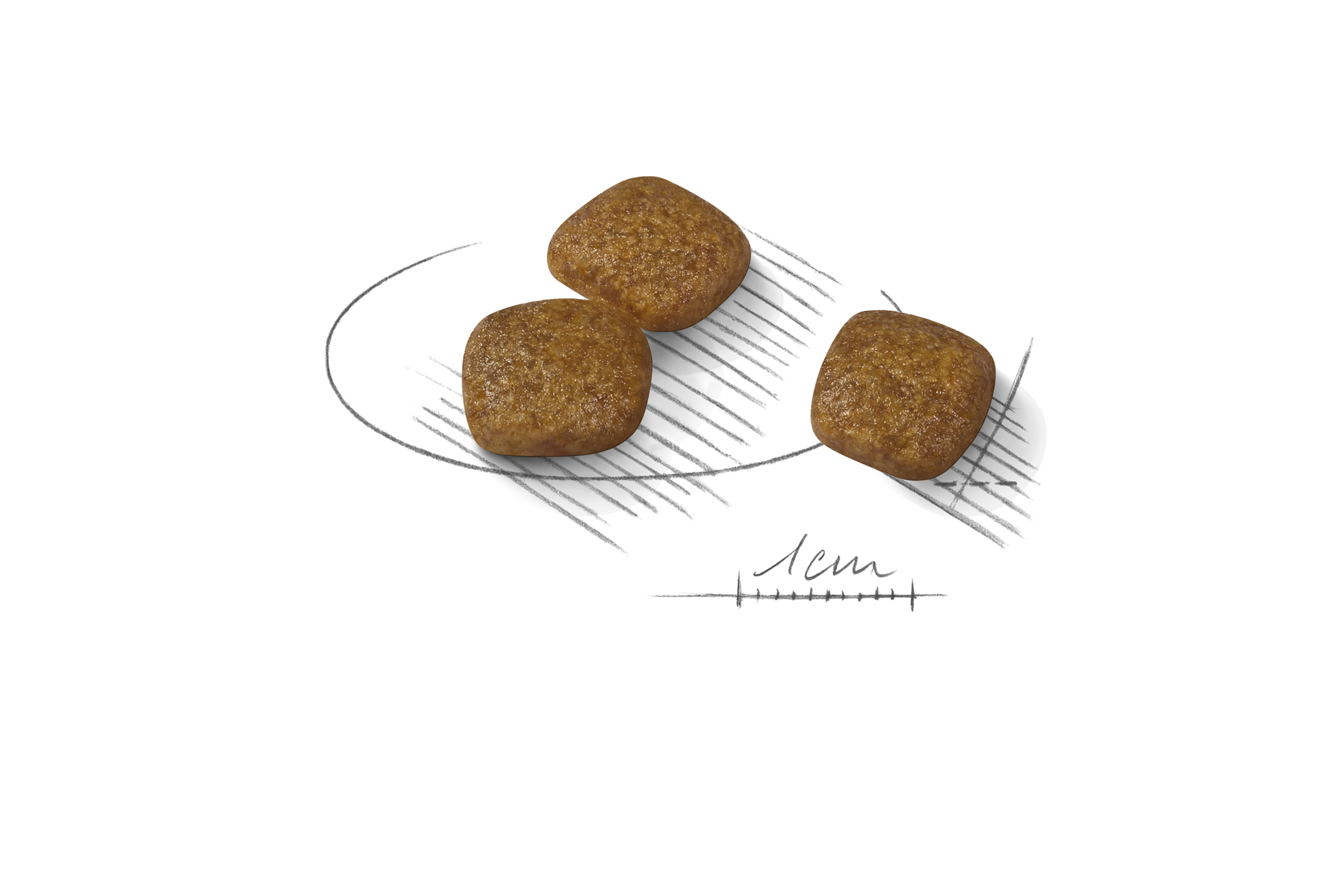 Royal Canin Urinary Care Mini