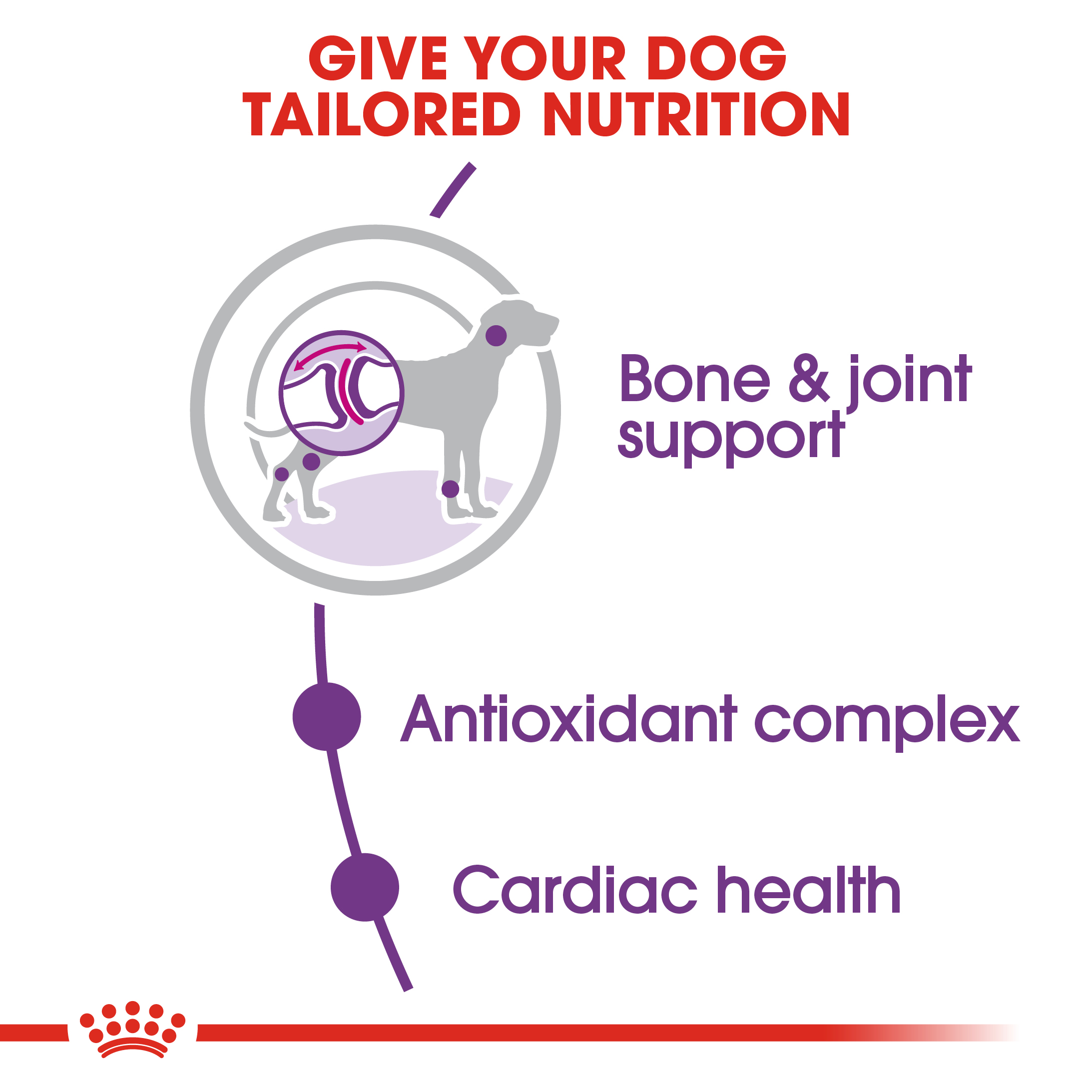 Royal Canin Giant Adult 15kg