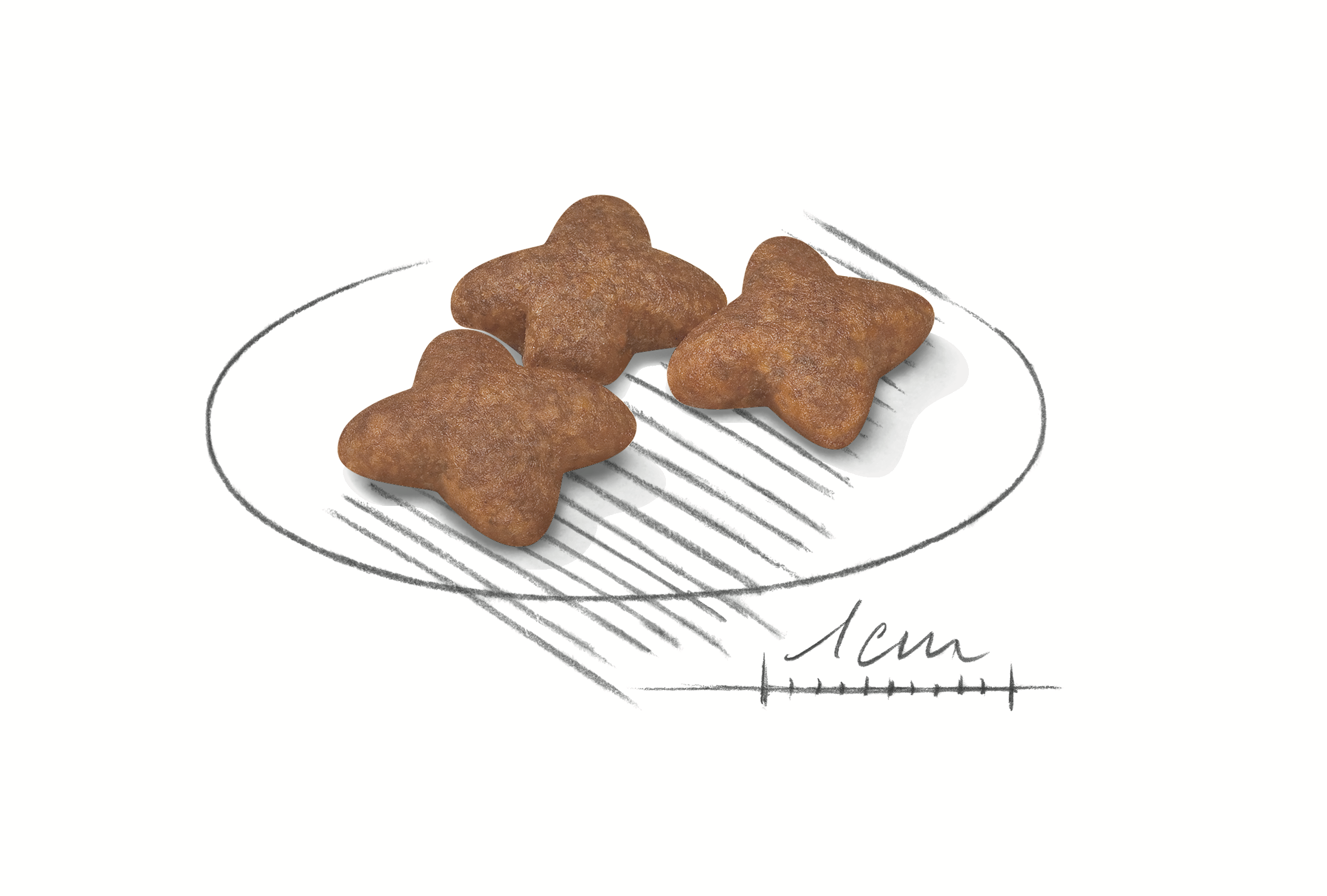 Royal Canin Mini Adult