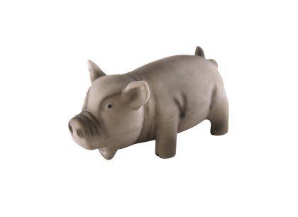 Latex-Schwein