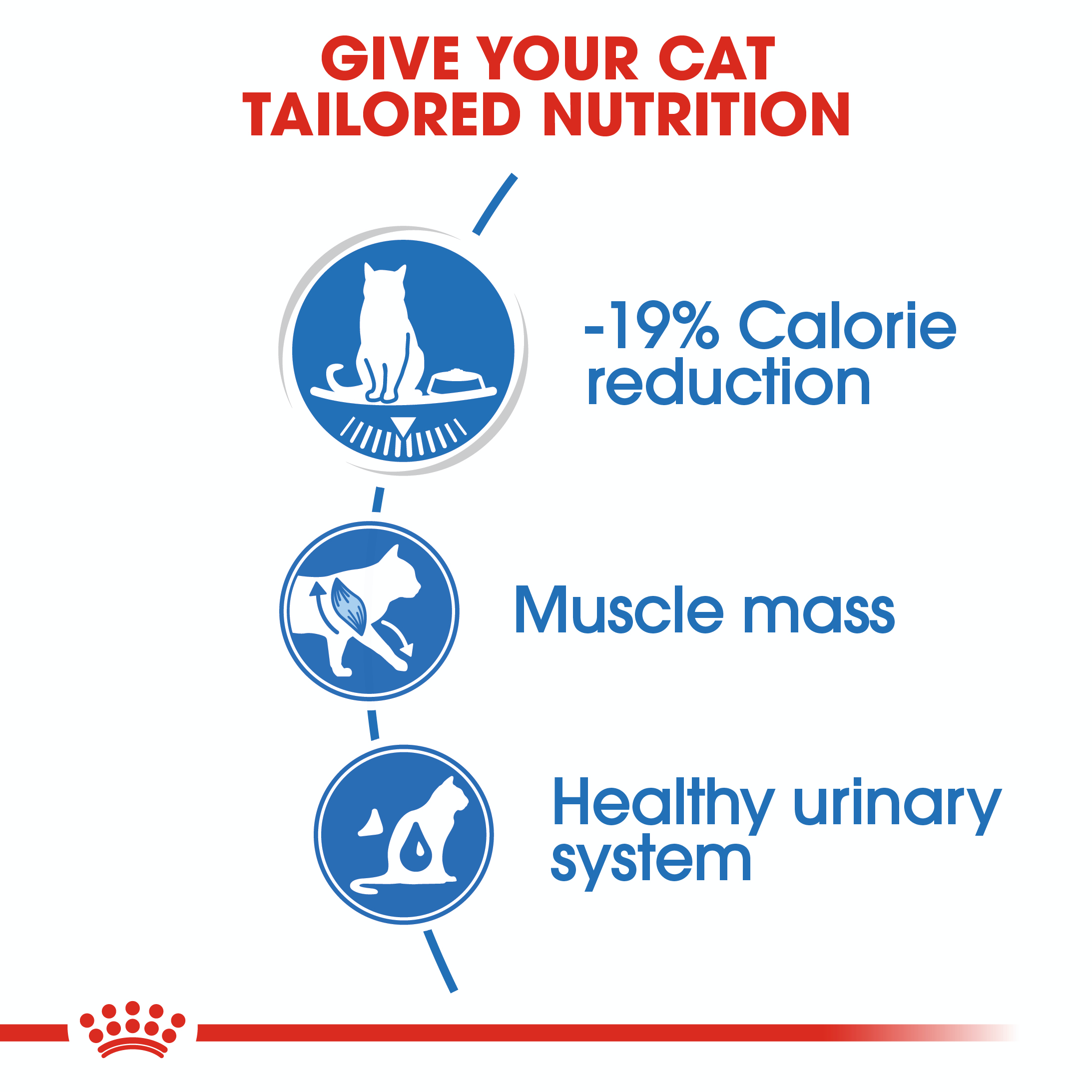 Royal Canin Light Weight Care (Gelee) 12 x 85 g