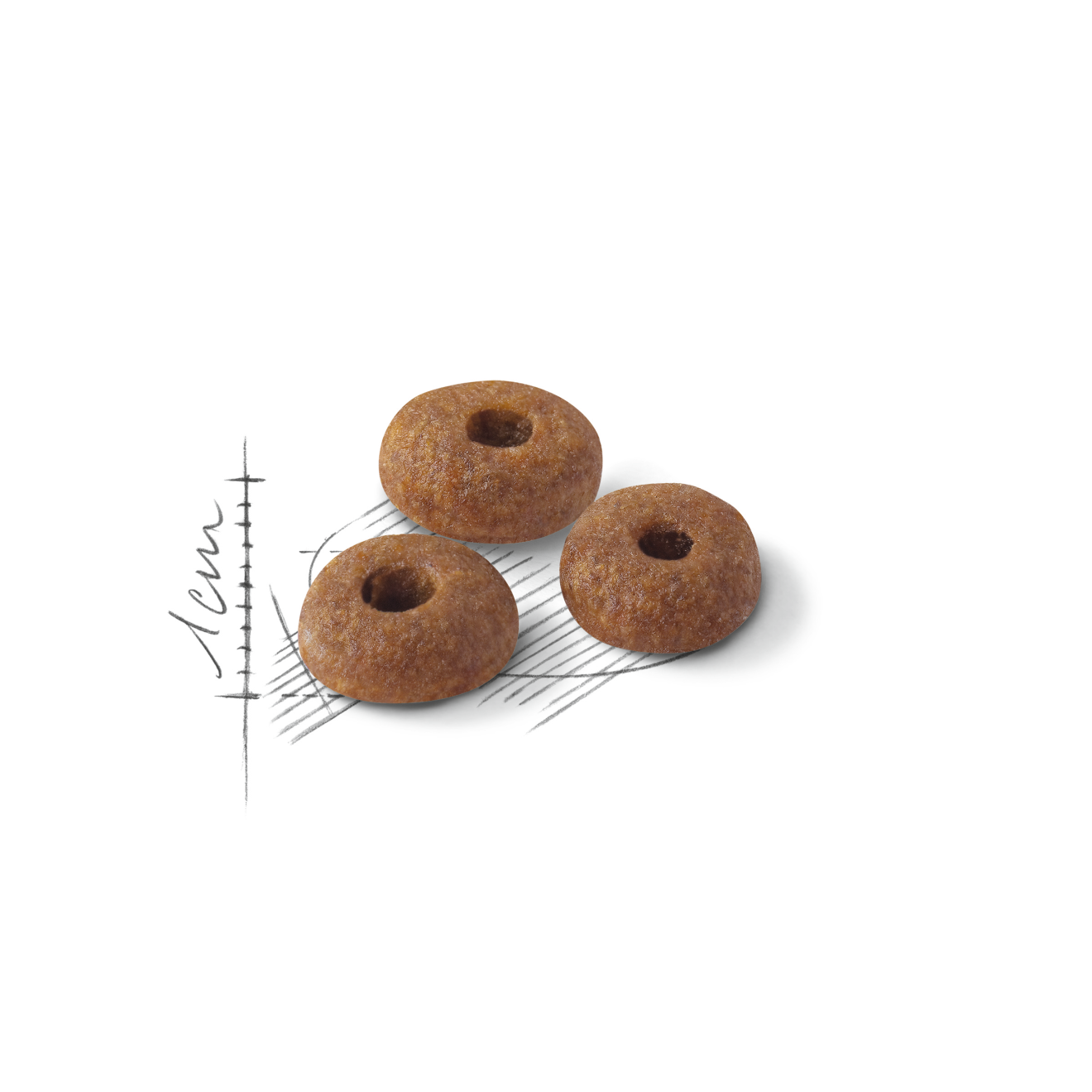 Royal Canin Fit 32
