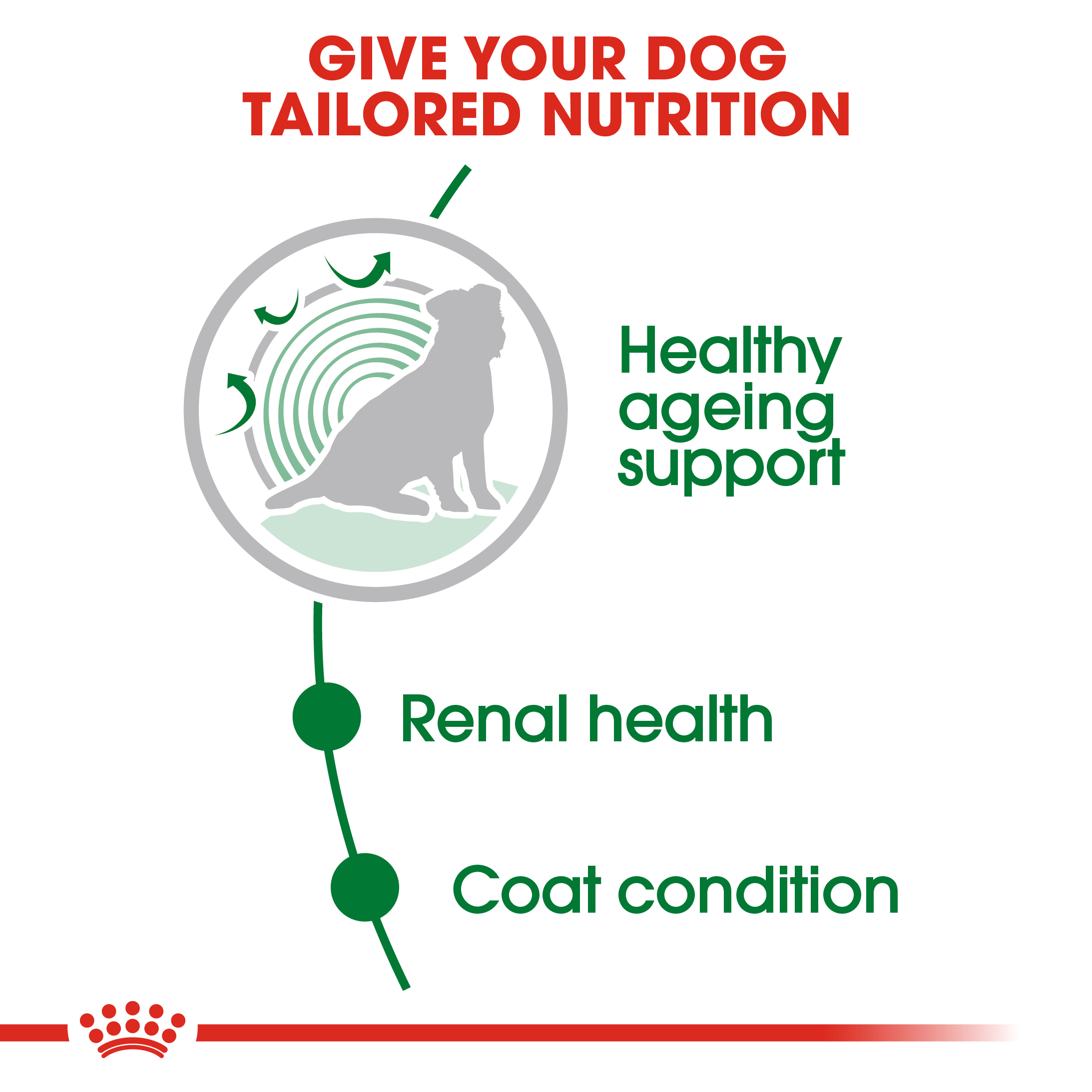 Royal Canin Mini Ageing 12+ 12 x 85g