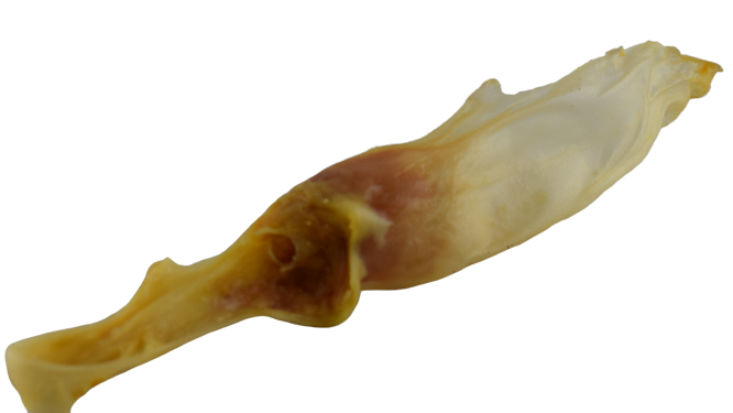 Hasenohren