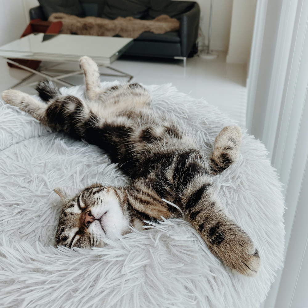 TOPMAST FLUFFY DONUT TIERKORB – Grau