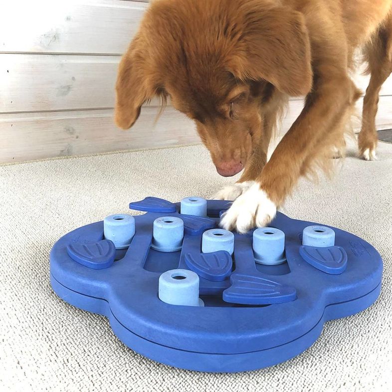 DOG HIDE N`SLIDE - COMPOSITE