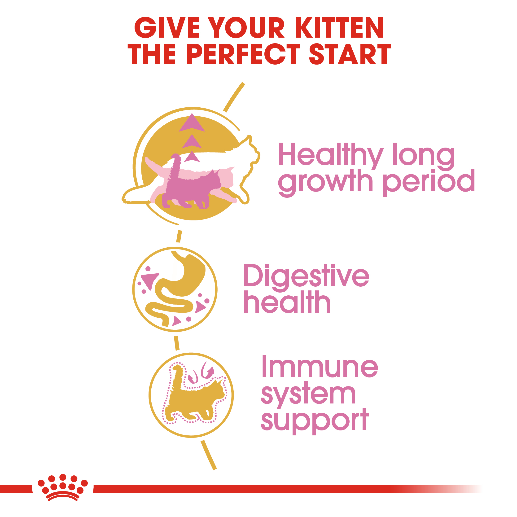 Royal Canin Kitten Maine Coon