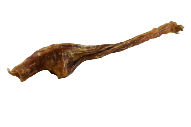 Pferde Achillessehne