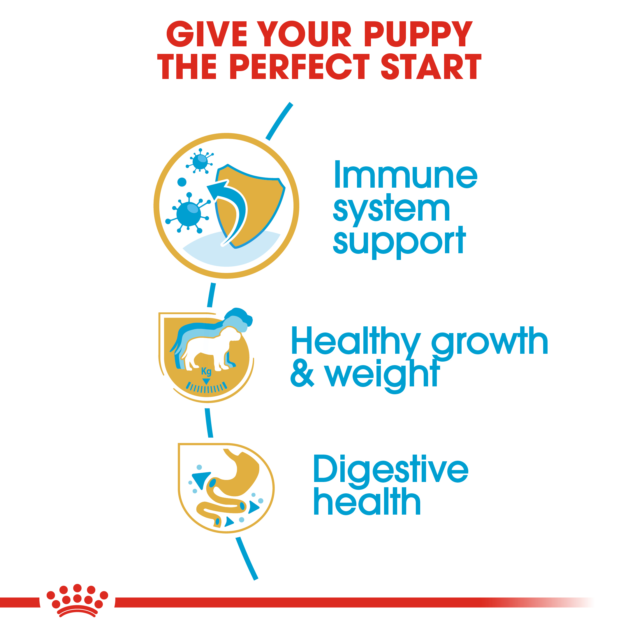 Royal Canin Labrador Junior