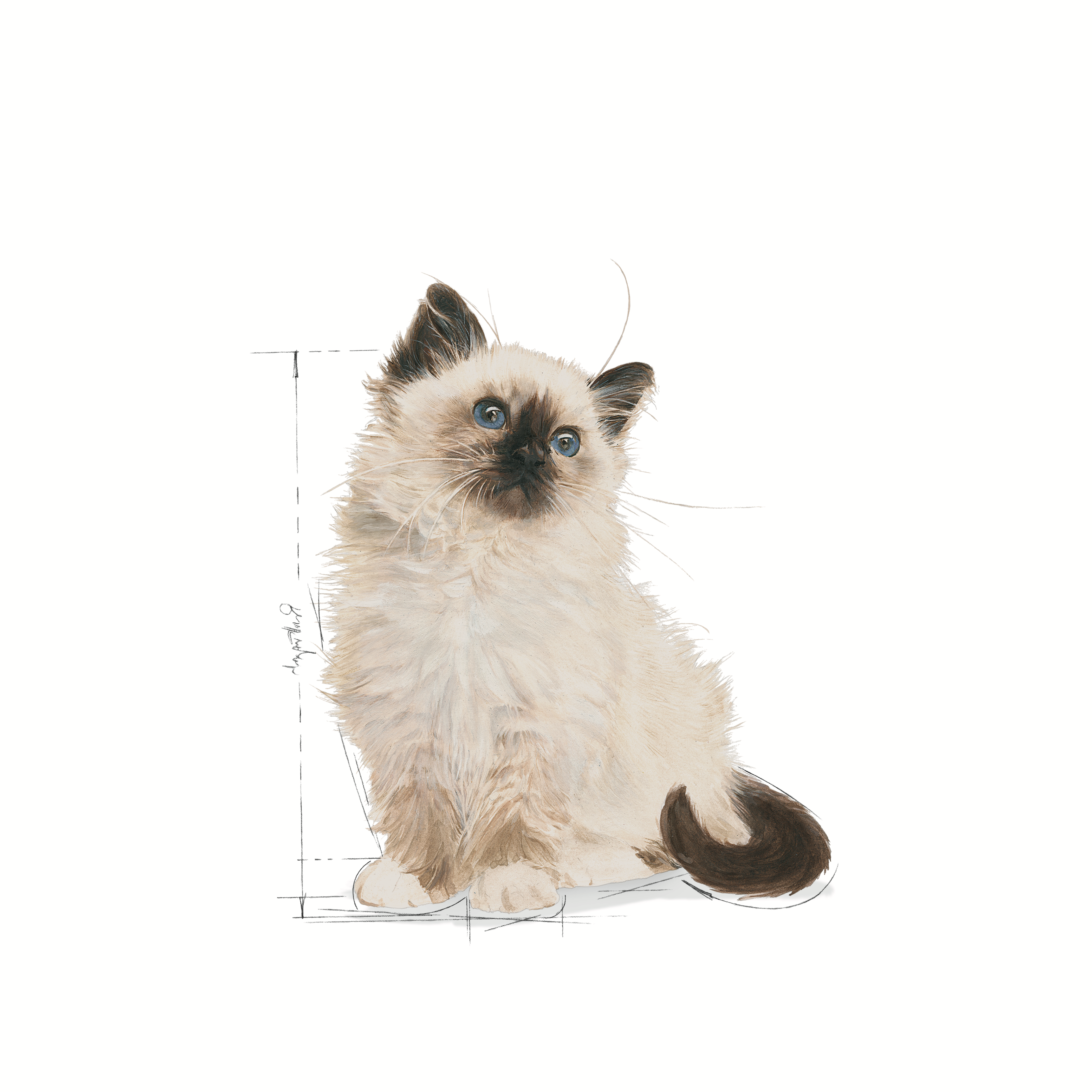 Royal Canin Kitten Instinctive (Mousse) 12 x 85 g
