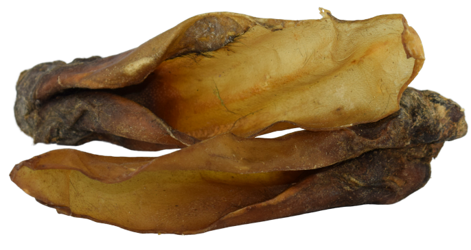 Rinder Ohren mit Muschel