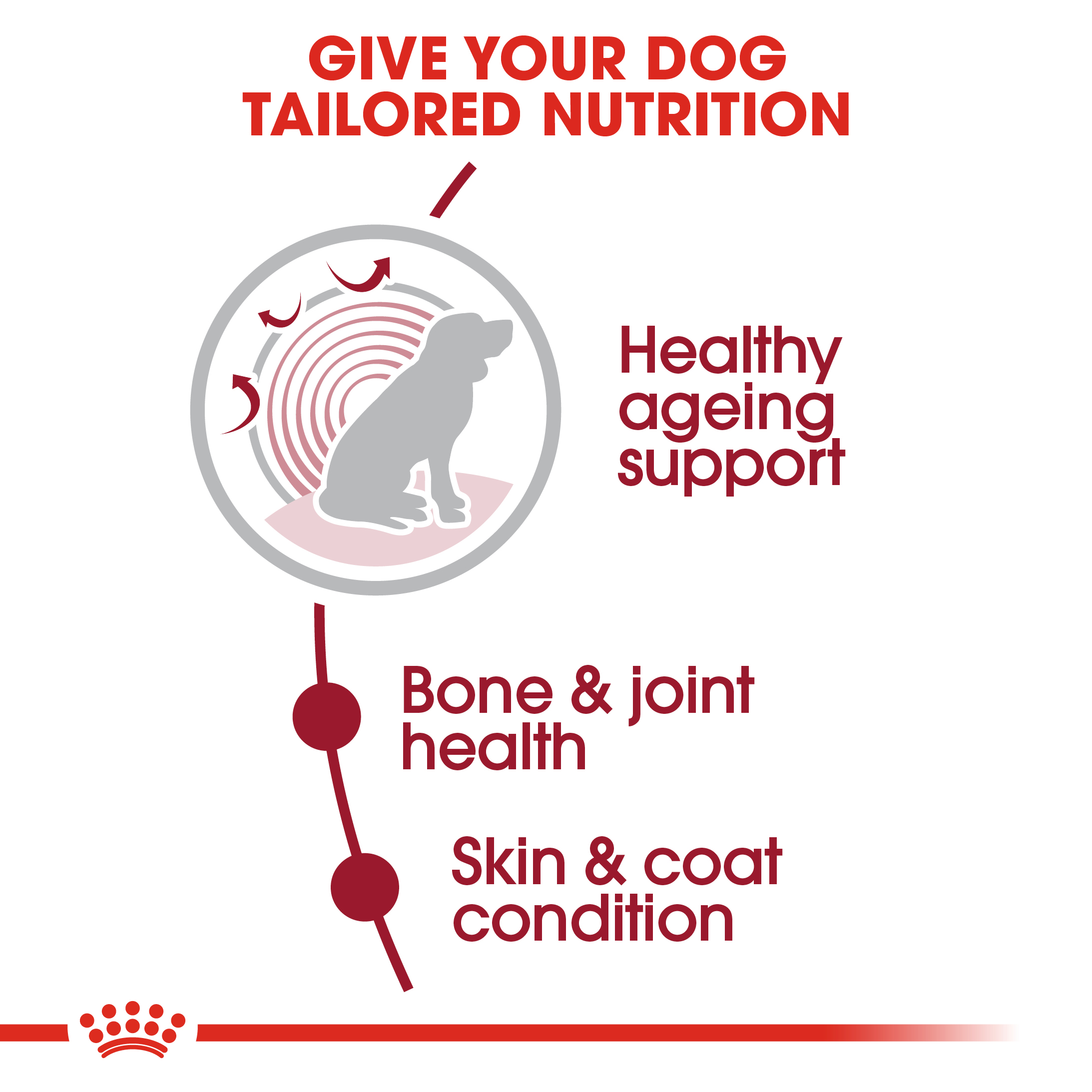 Royal Canin Medium Ageing 10+