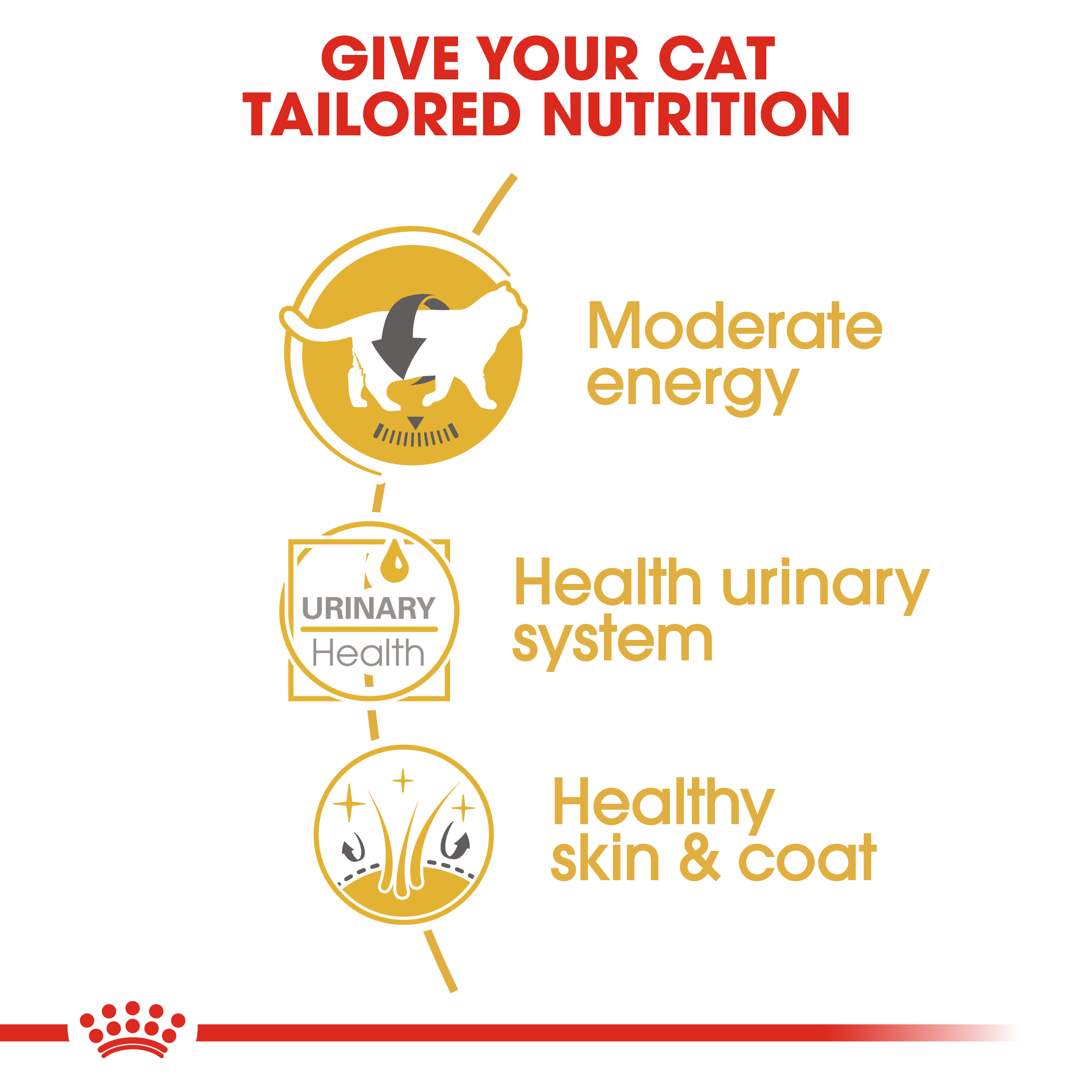 Royal Canin British Shorthair (Sauce) 12 x 85g