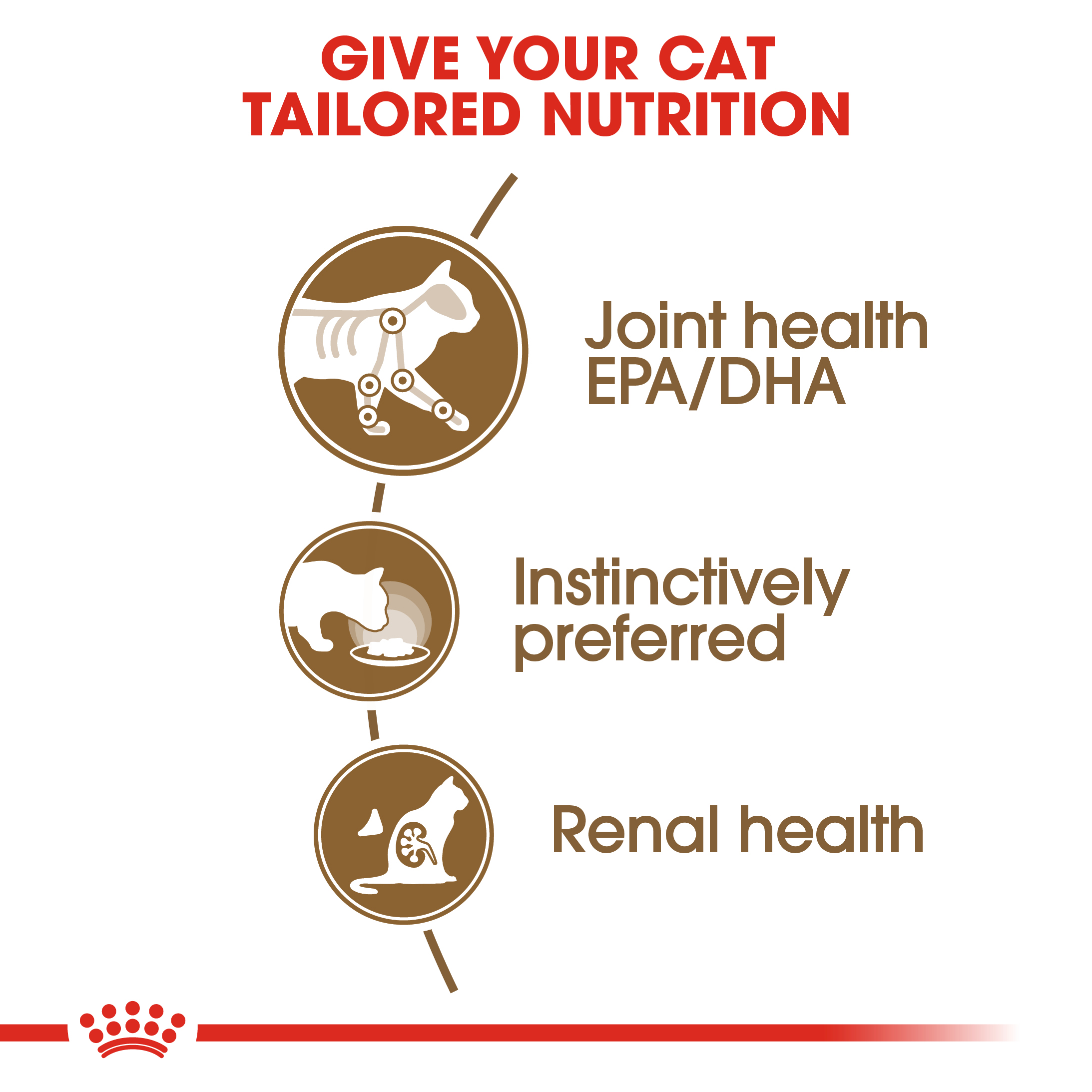 Royal Canin Ageing 12+ (Sauce) 12 x 85g
