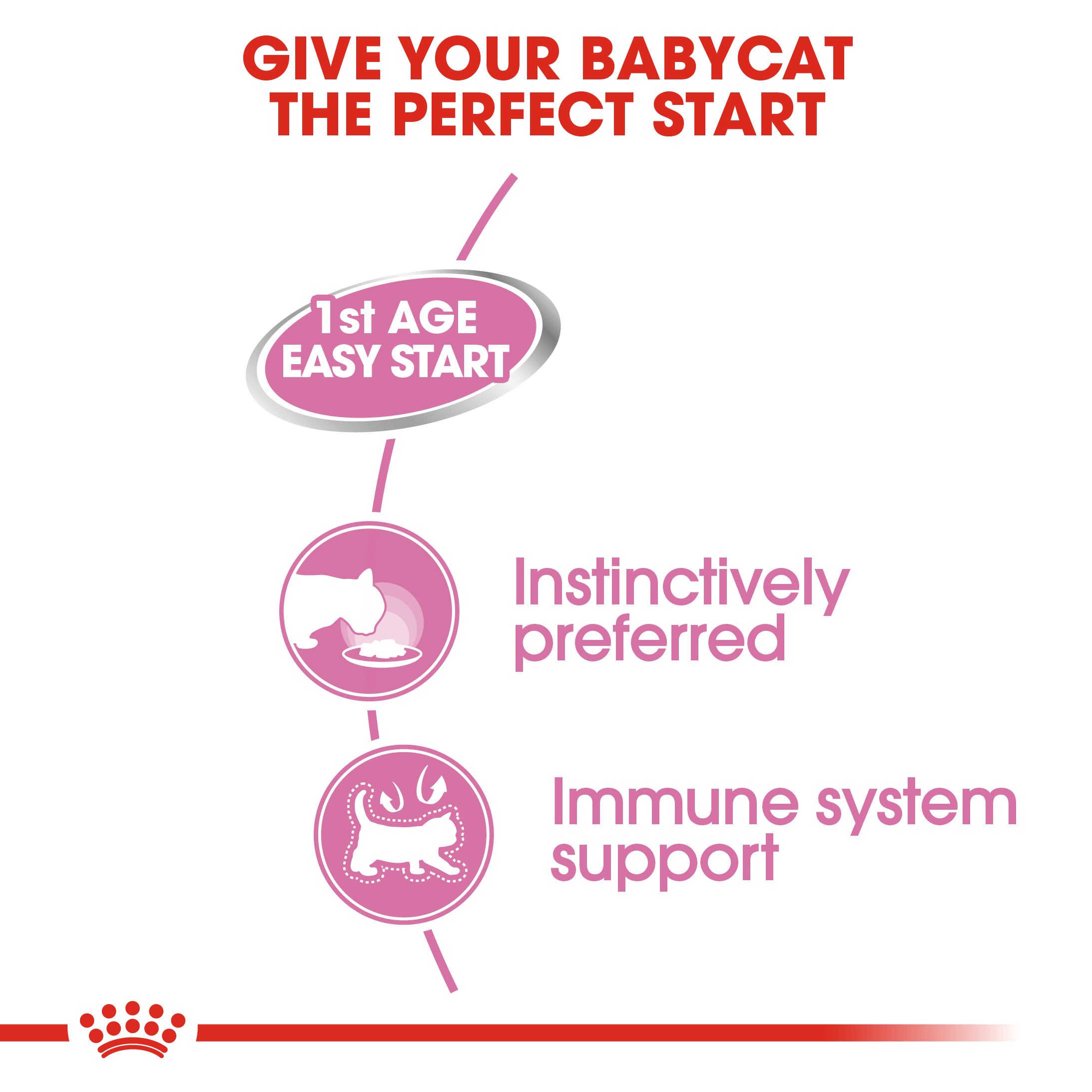 Royal Canin Mother & Babycat (Mousse) 12 x 195 g