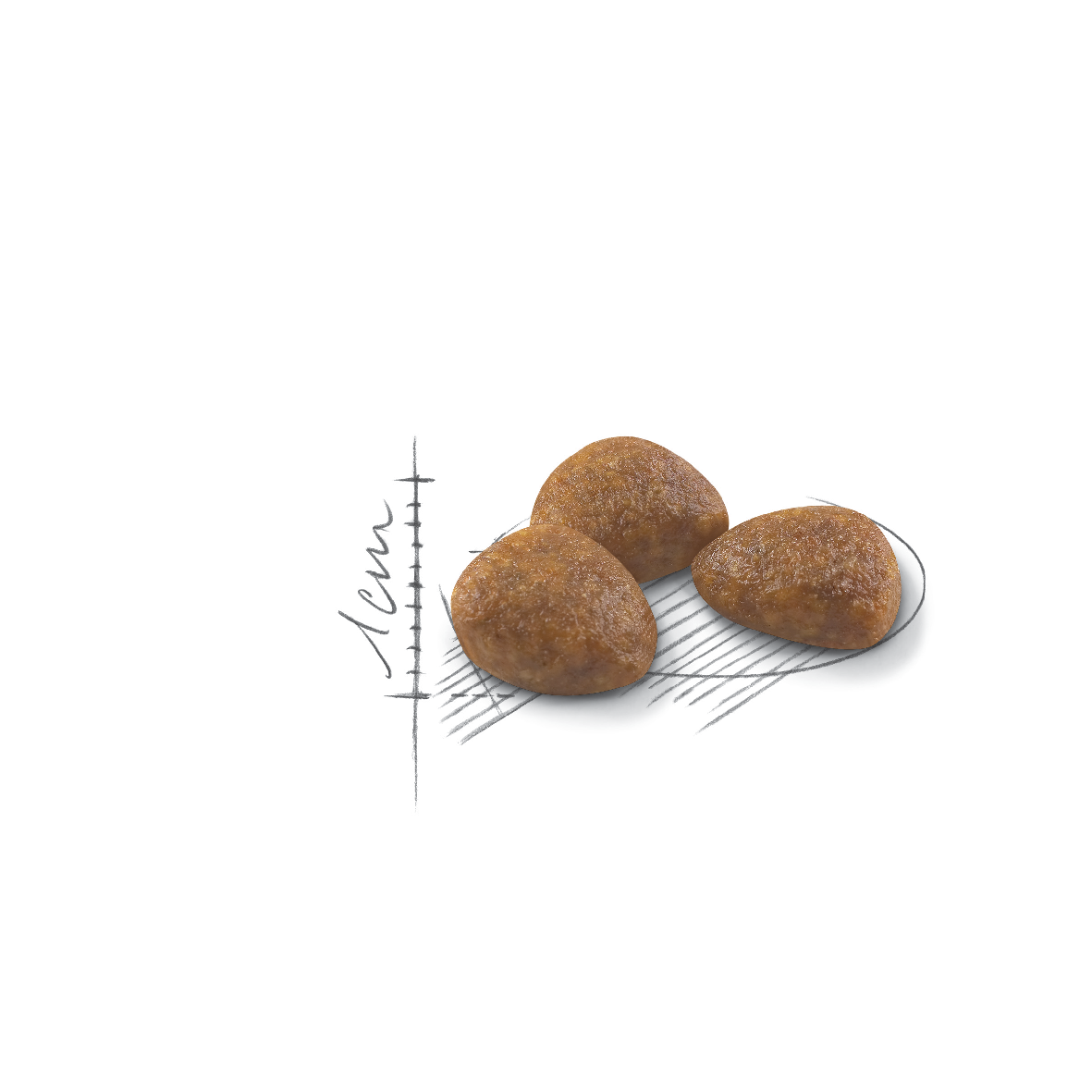 Royal Canin Outdoor 7+