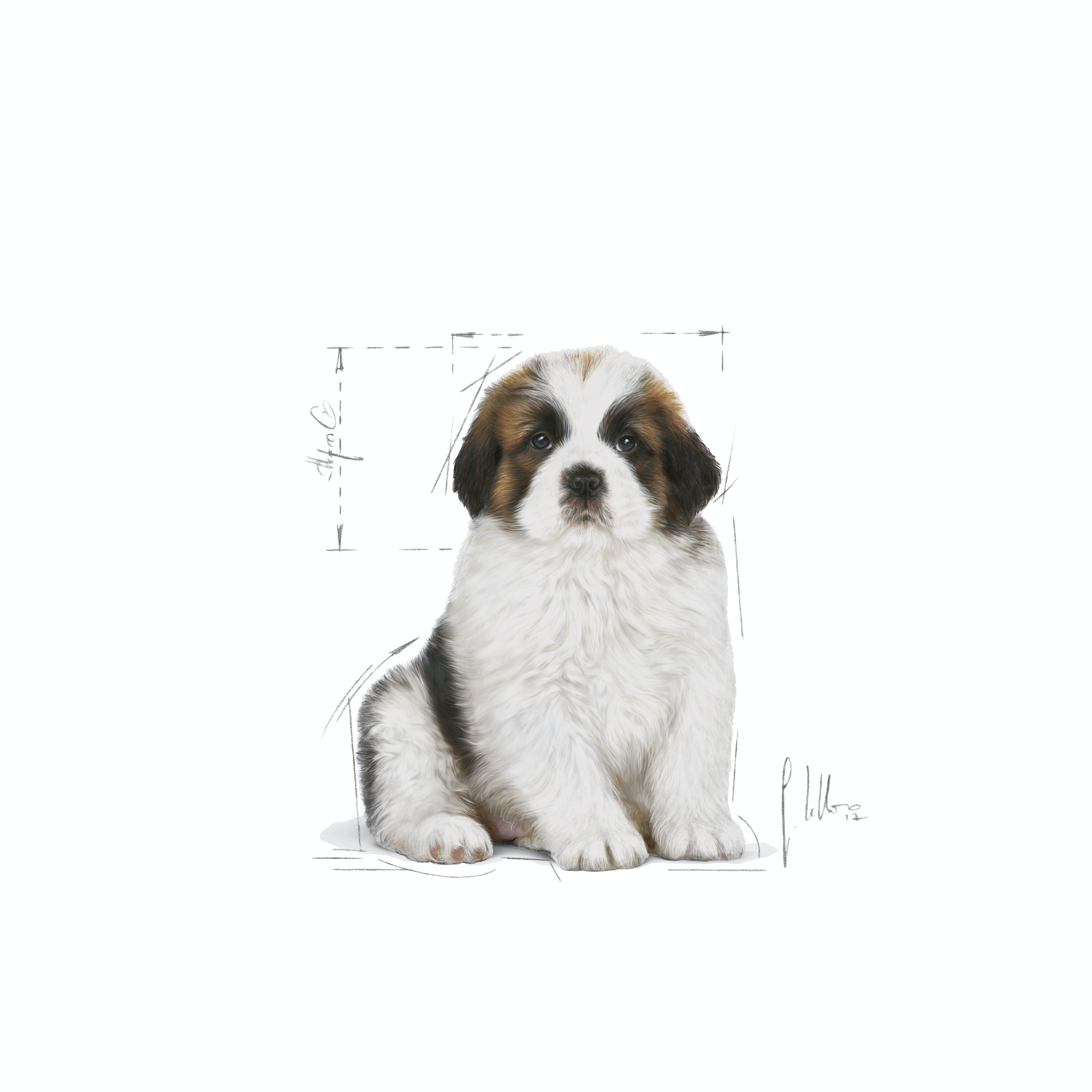 Royal Canin Giant Puppy 15kg