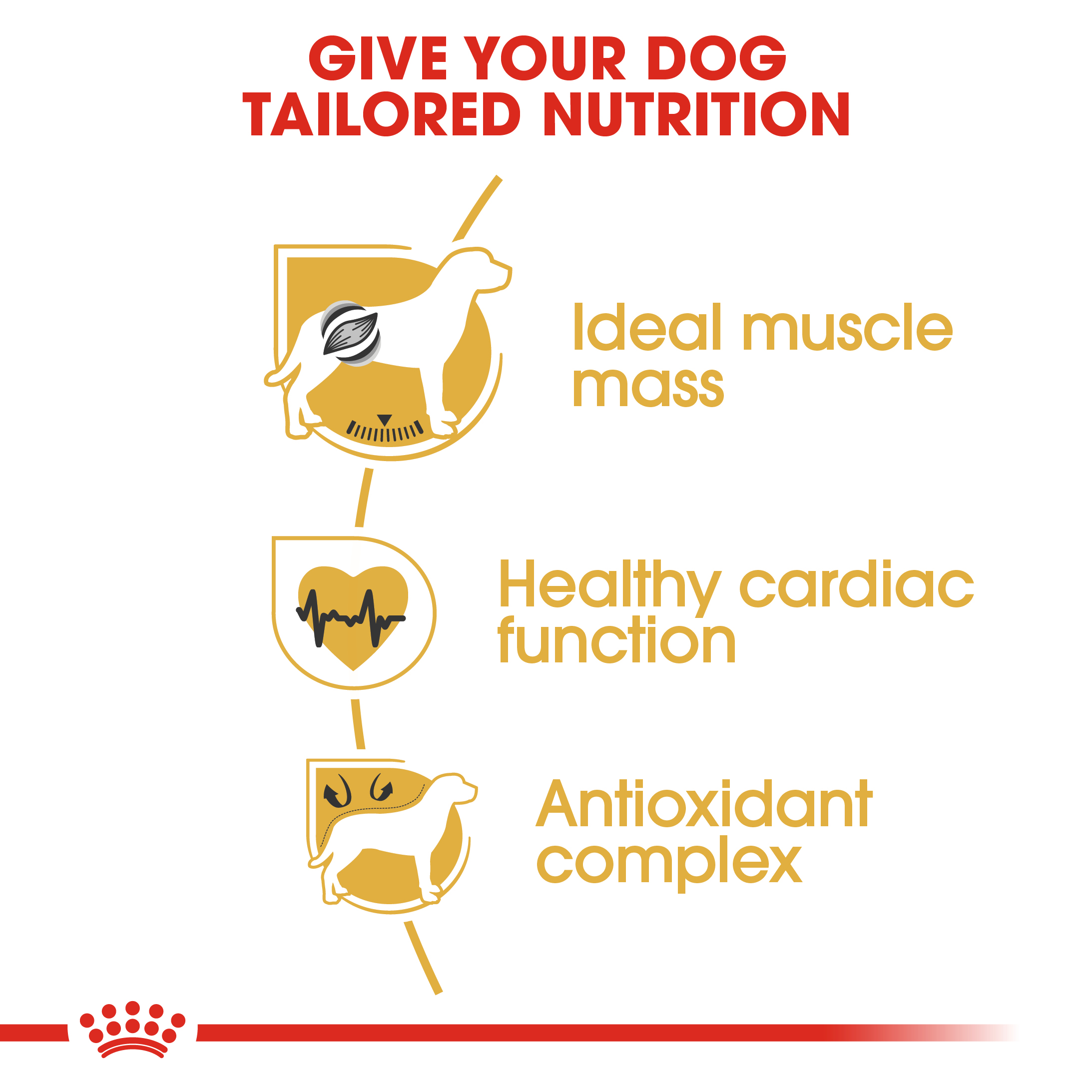 Royal Canin Boxer 12 kg