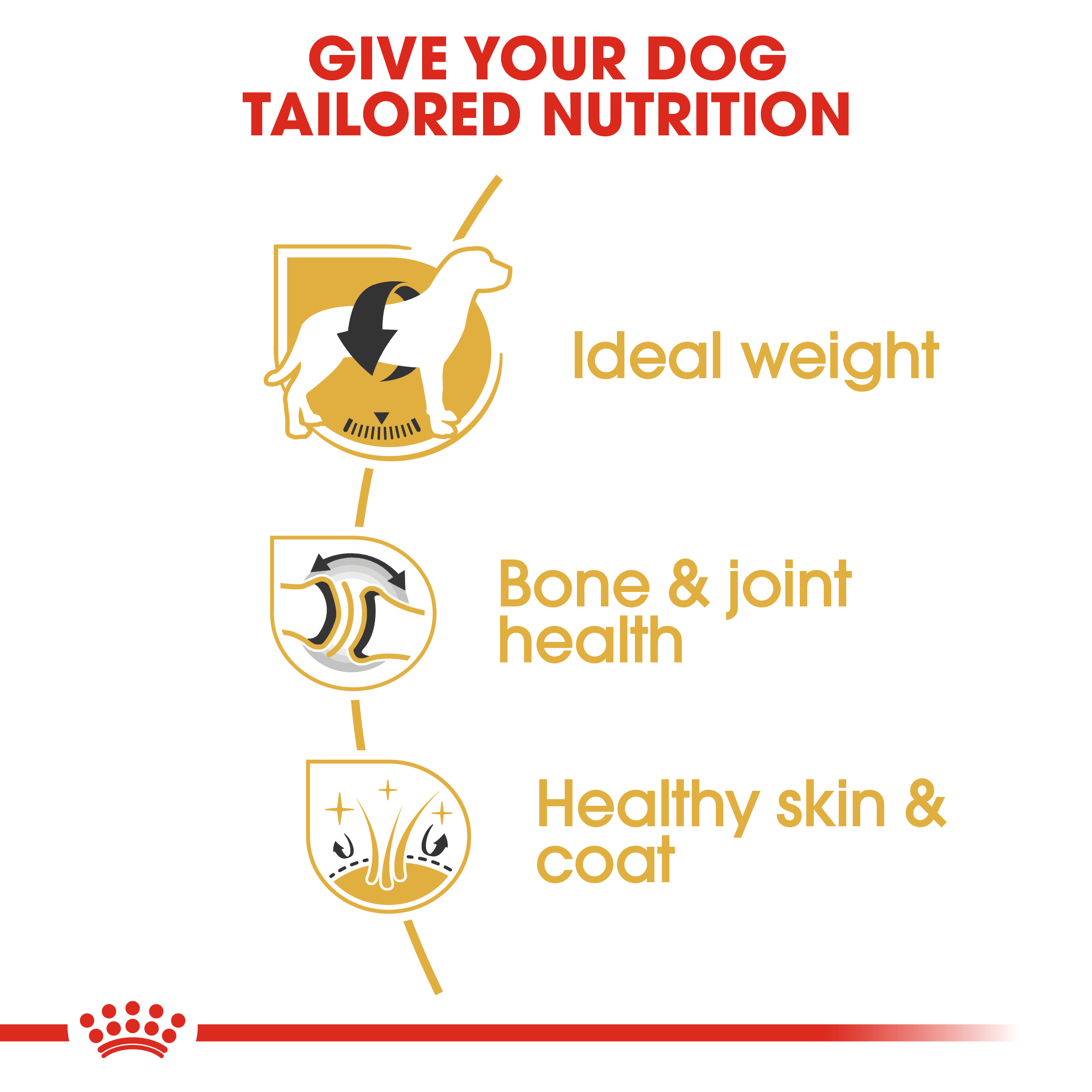 Royal Canin Labrador