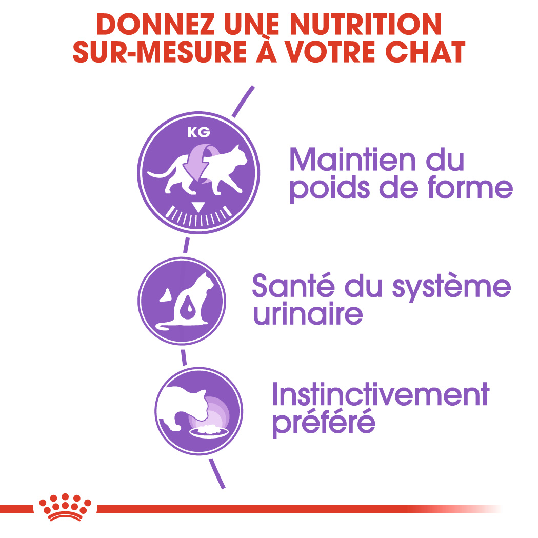 Royal Canin Sterilised (Mousse) 12 x 85 g