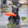 Dogman Toy Dummy schwimmend Orange