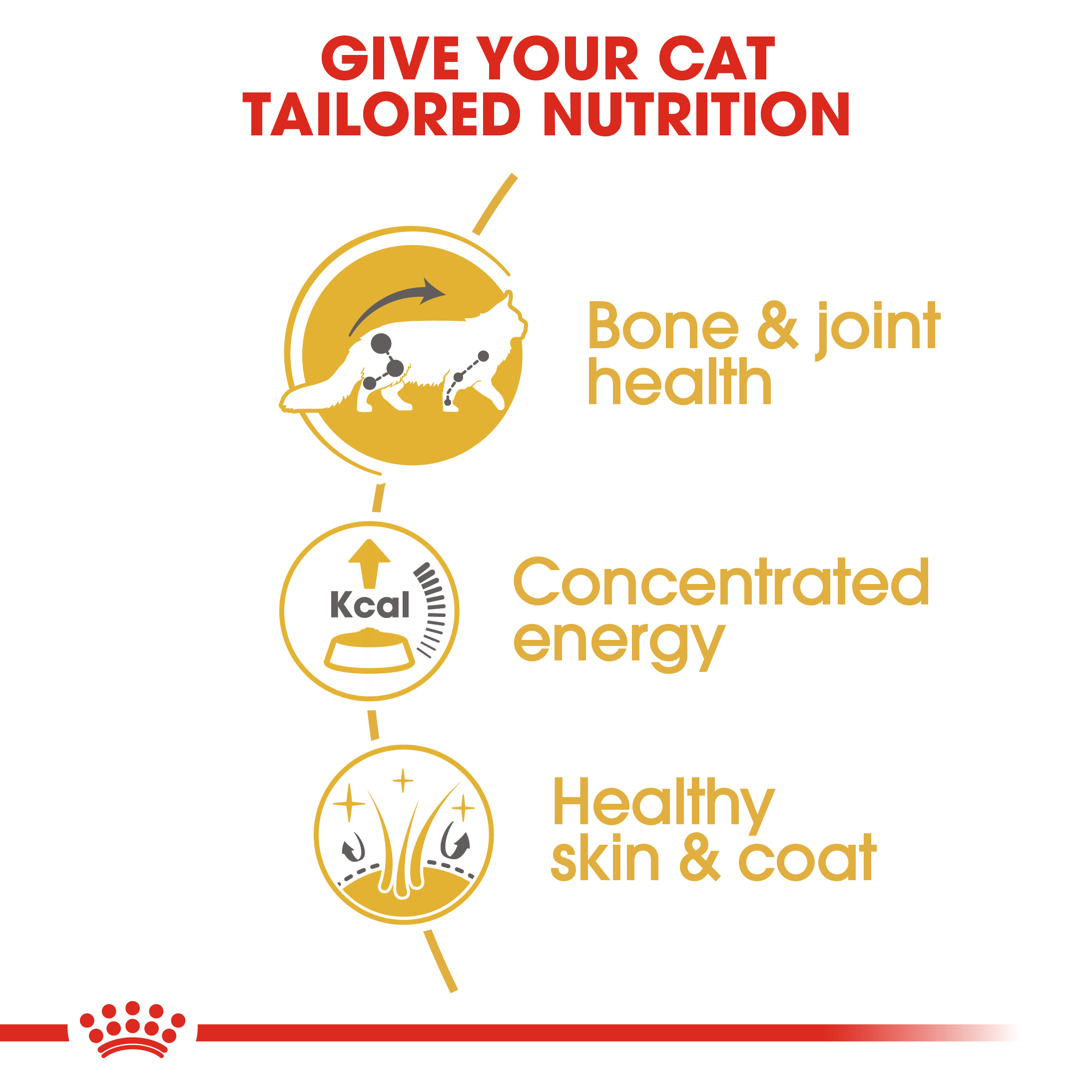 Royal Canin Maine Coon (Sauce) 12 x 85g