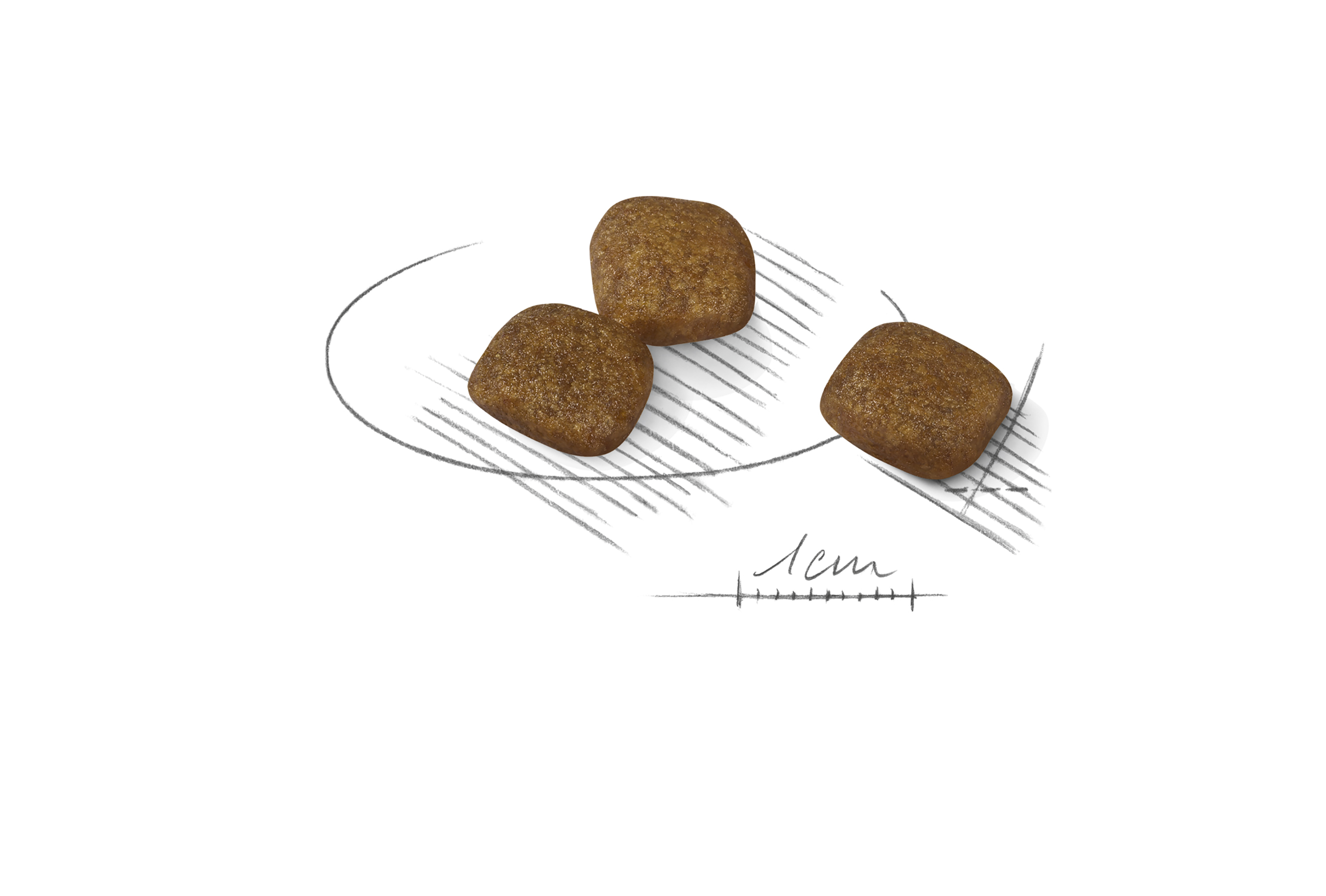 Royal Canin Coat Care Mini