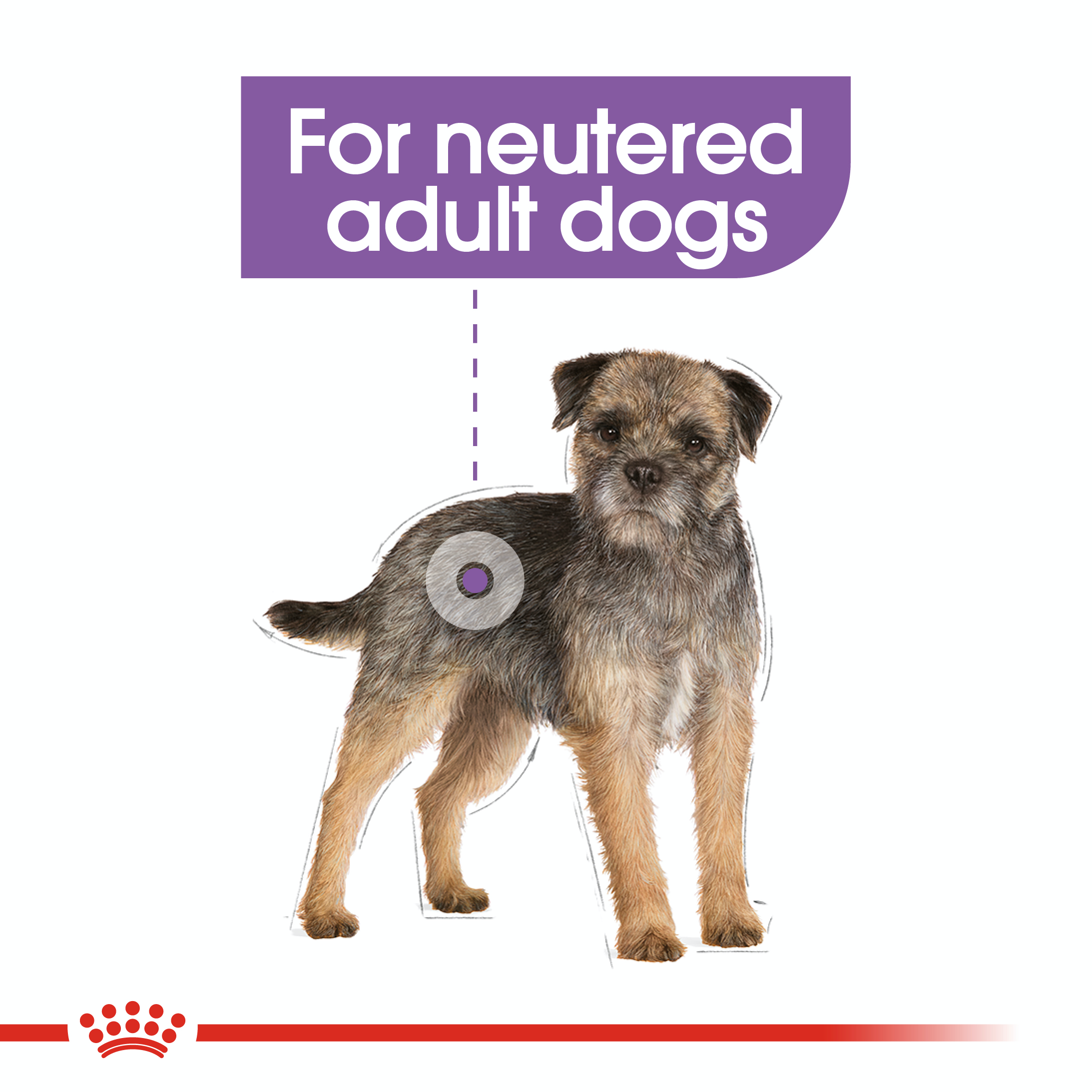 Royal Canin Sterilised 12 x 85g