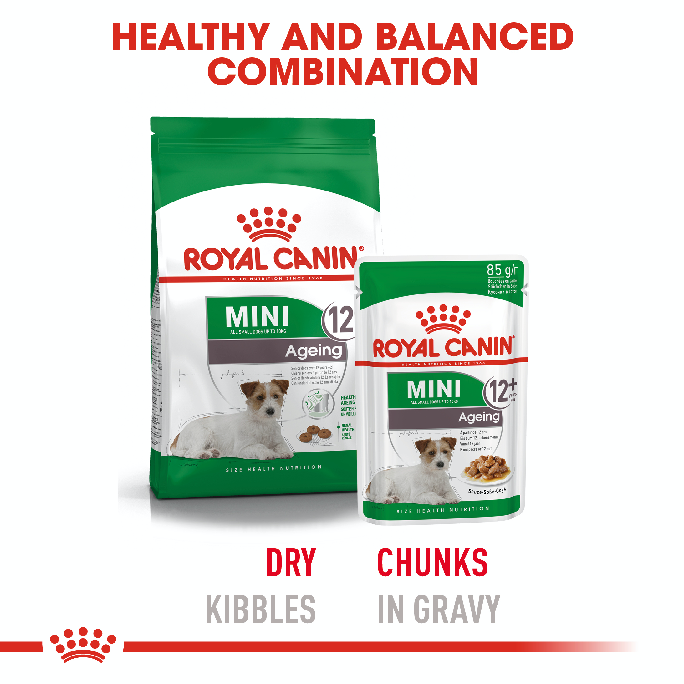 Royal Canin Mini Ageing 12+ 12 x 85g